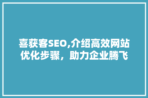 喜获客SEO,介绍高效网站优化步骤，助力企业腾飞