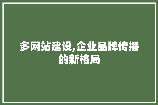 多网站建设,企业品牌传播的新格局
