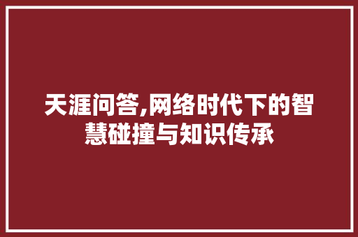 天涯问答,网络时代下的智慧碰撞与知识传承