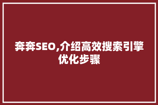 奔奔SEO,介绍高效搜索引擎优化步骤