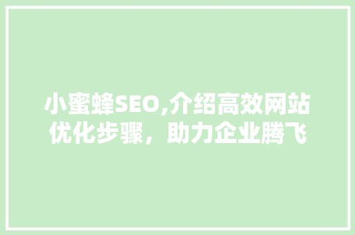 小蜜蜂SEO,介绍高效网站优化步骤，助力企业腾飞