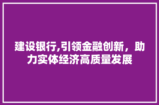 建设银行,引领金融创新，助力实体经济高质量发展
