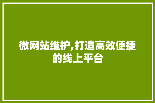 微网站维护,打造高效便捷的线上平台