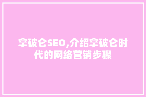 拿破仑SEO,介绍拿破仑时代的网络营销步骤