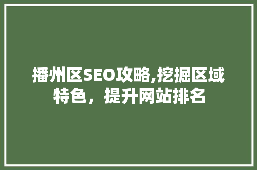播州区SEO攻略,挖掘区域特色，提升网站排名 电脑故障维修