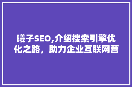 曦子SEO,介绍搜索引擎优化之路，助力企业互联网营销