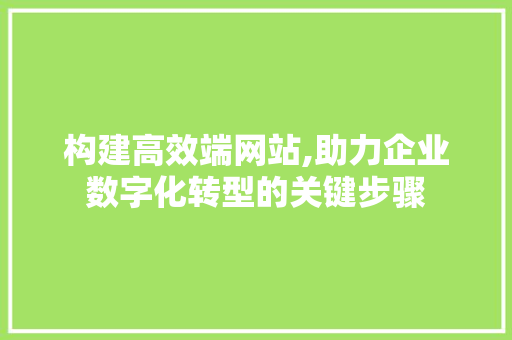 构建高效端网站,助力企业数字化转型的关键步骤