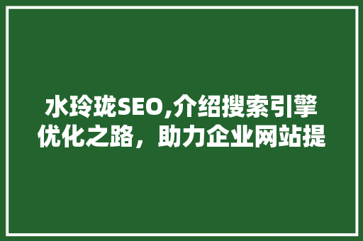 水玲珑SEO,介绍搜索引擎优化之路,助力企业网站提升流量与品牌影响力 水玲珑SEO,介绍搜索引擎优化之路,助力企业网站提升流量与品牌影响力
