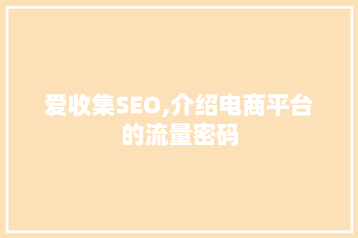 爱收集SEO,介绍电商平台的流量密码