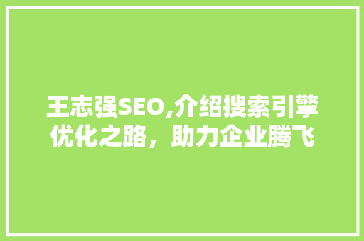 王志强SEO,介绍搜索引擎优化之路，助力企业腾飞