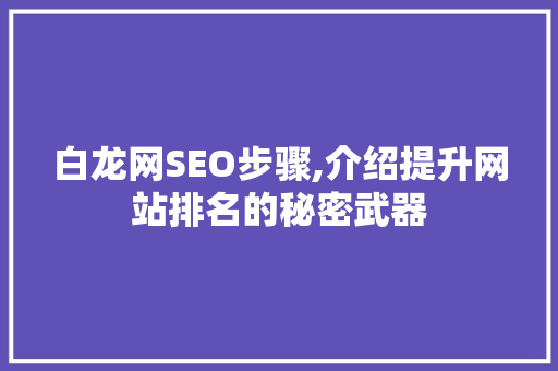 白龙网SEO步骤,介绍提升网站排名的秘密武器