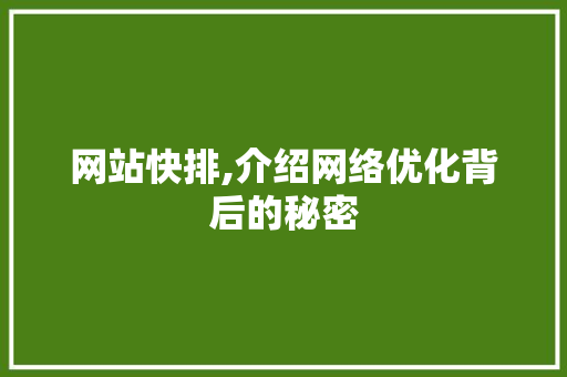 网站快排,介绍网络优化背后的秘密 电脑配置