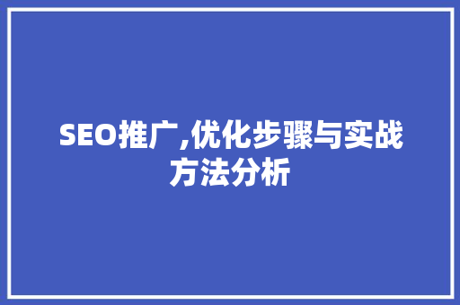 SEO推广,优化步骤与实战方法分析 SEO推广,优化步骤与实战方法分析 电脑故障维修