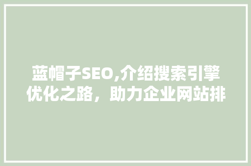 蓝帽子SEO,介绍搜索引擎优化之路，助力企业网站排名提升 电脑故障维修