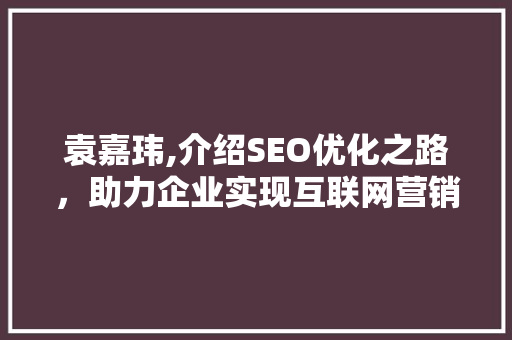 袁嘉玮,介绍SEO优化之路，助力企业实现互联网营销新突破 编程语言