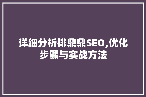 详细分析排鼎鼎SEO,优化步骤与实战方法
