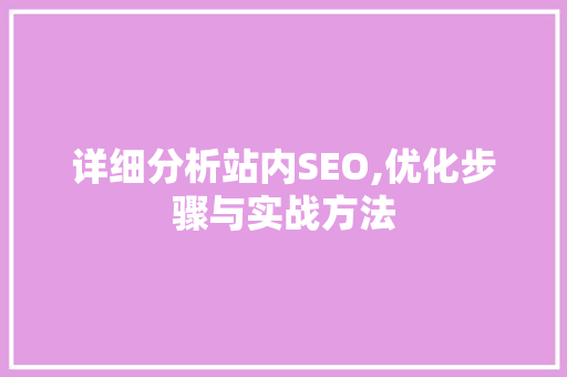 详细分析站内SEO,优化步骤与实战方法
