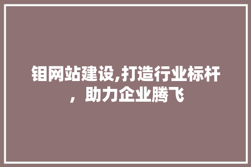 钼网站建设,打造行业标杆，助力企业腾飞