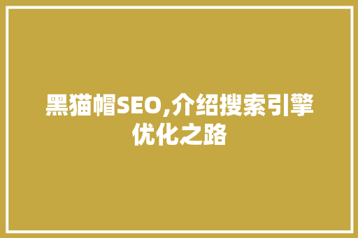 黑猫帽SEO,介绍搜索引擎优化之路