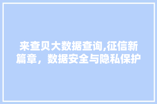 来查贝大数据查询,征信新篇章,数据安全与隐私保护的探索 来查贝大数据查询,征信新篇章,数据安全与隐私保护的探索