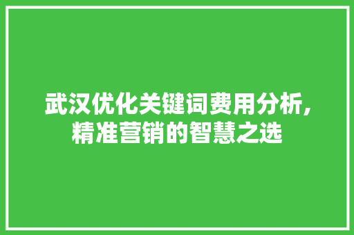武汉优化关键词费用分析,精准营销的智慧之选