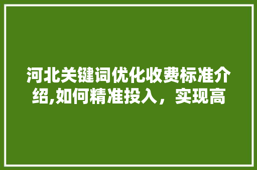 河北关键词优化收费标准介绍,如何精准投入，实现高效转化