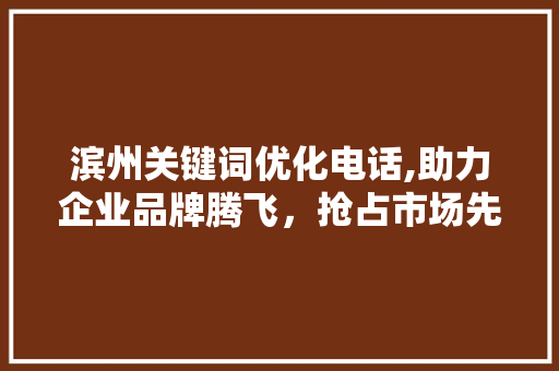滨州关键词优化电话,助力企业品牌腾飞，抢占市场先机