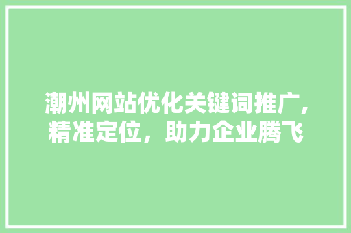 潮州网站优化关键词推广,精准定位，助力企业腾飞