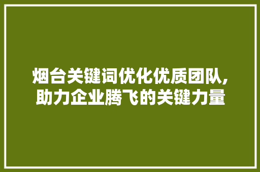 烟台关键词优化优质团队,助力企业腾飞的关键力量