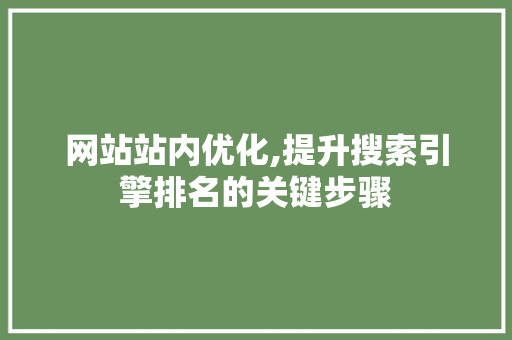 网站站内优化,提升搜索引擎排名的关键步骤