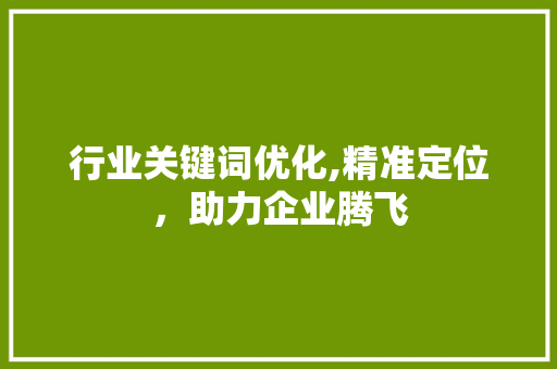 行业关键词优化,精准定位，助力企业腾飞