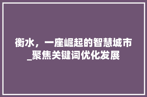 衡水，一座崛起的智慧城市_聚焦关键词优化发展