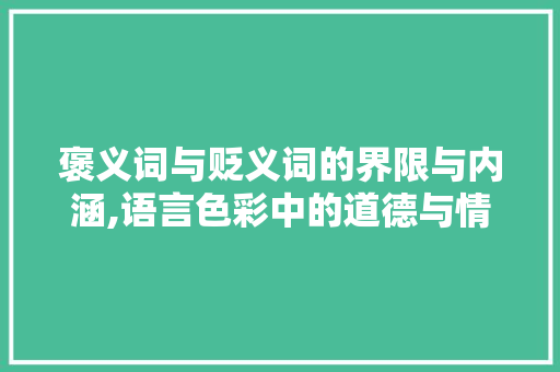 褒义词与贬义词的界限与内涵,语言色彩中的道德与情感映射