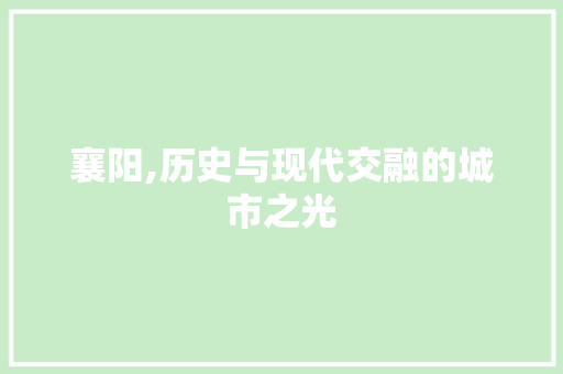 襄阳,历史与现代交融的城市之光