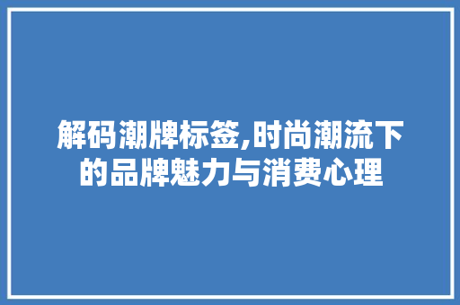 解码潮牌标签,时尚潮流下的品牌魅力与消费心理