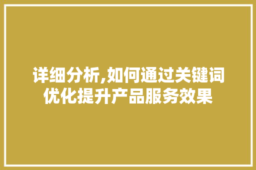 详细分析,如何通过关键词优化提升产品服务效果 详细分析,如何通过关键词优化提升产品服务效果