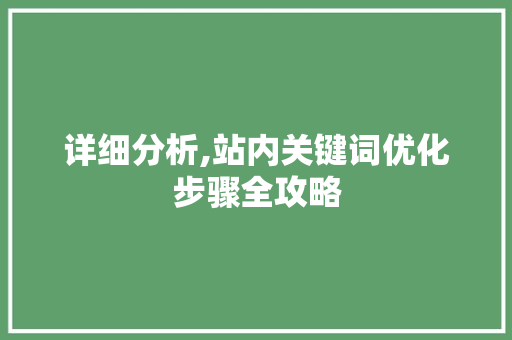 详细分析,站内关键词优化步骤全攻略