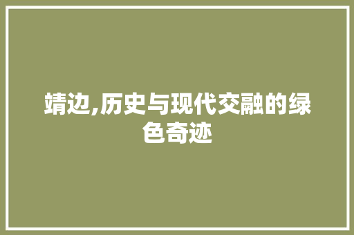 靖边,历史与现代交融的绿色奇迹