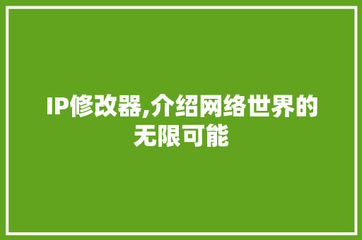 IP修改器,介绍网络世界的无限可能