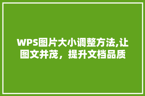 WPS图片大小调整方法,让图文并茂，提升文档品质