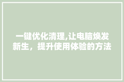 一键优化清理,让电脑焕发新生，提升使用体验的方法之路