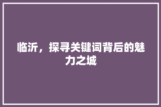 临沂，探寻关键词背后的魅力之城