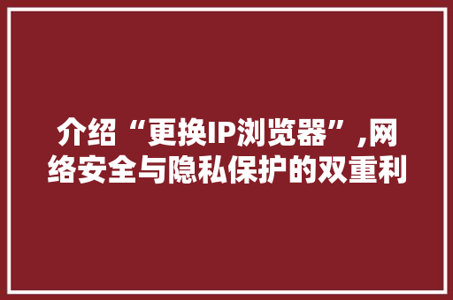 介绍“更换IP浏览器”,网络安全与隐私保护的双重利器