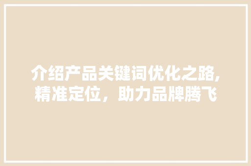 介绍产品关键词优化之路,精准定位，助力品牌腾飞