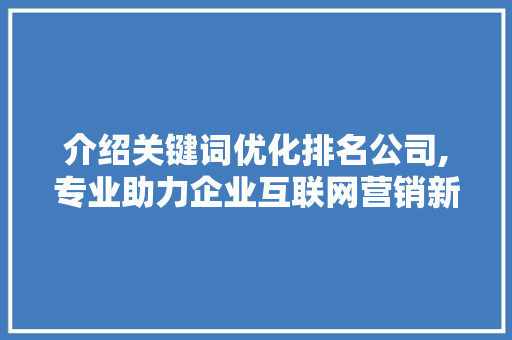 介绍关键词优化排名公司,专业助力企业互联网营销新篇章