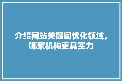 介绍网站关键词优化领域，哪家机构更具实力