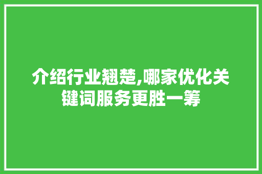 介绍行业翘楚,哪家优化关键词服务更胜一筹
