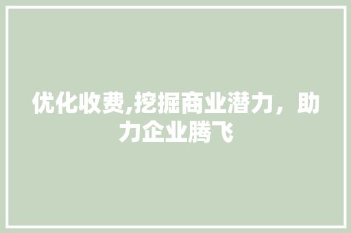 优化收费,挖掘商业潜力，助力企业腾飞
