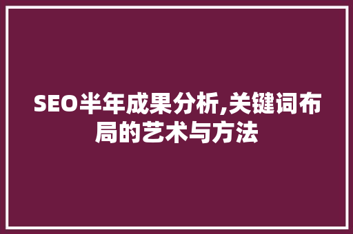SEO半年成果分析,关键词布局的艺术与方法