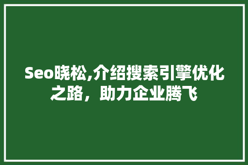 Seo晓松,介绍搜索引擎优化之路,助力企业腾飞 Seo晓松,介绍搜索引擎优化之路,助力企业腾飞